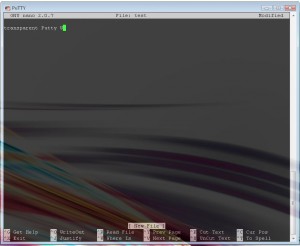 transparent_putty