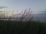 Dämmerung am Meer mit Gras im Vordergrund