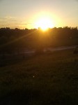 Sonnenuntergang im Park tiefstehende Sonne