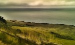 Way to beachy head 4, gras and the sea