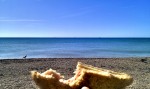 Sea & Sandwich