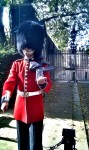 typical british guard